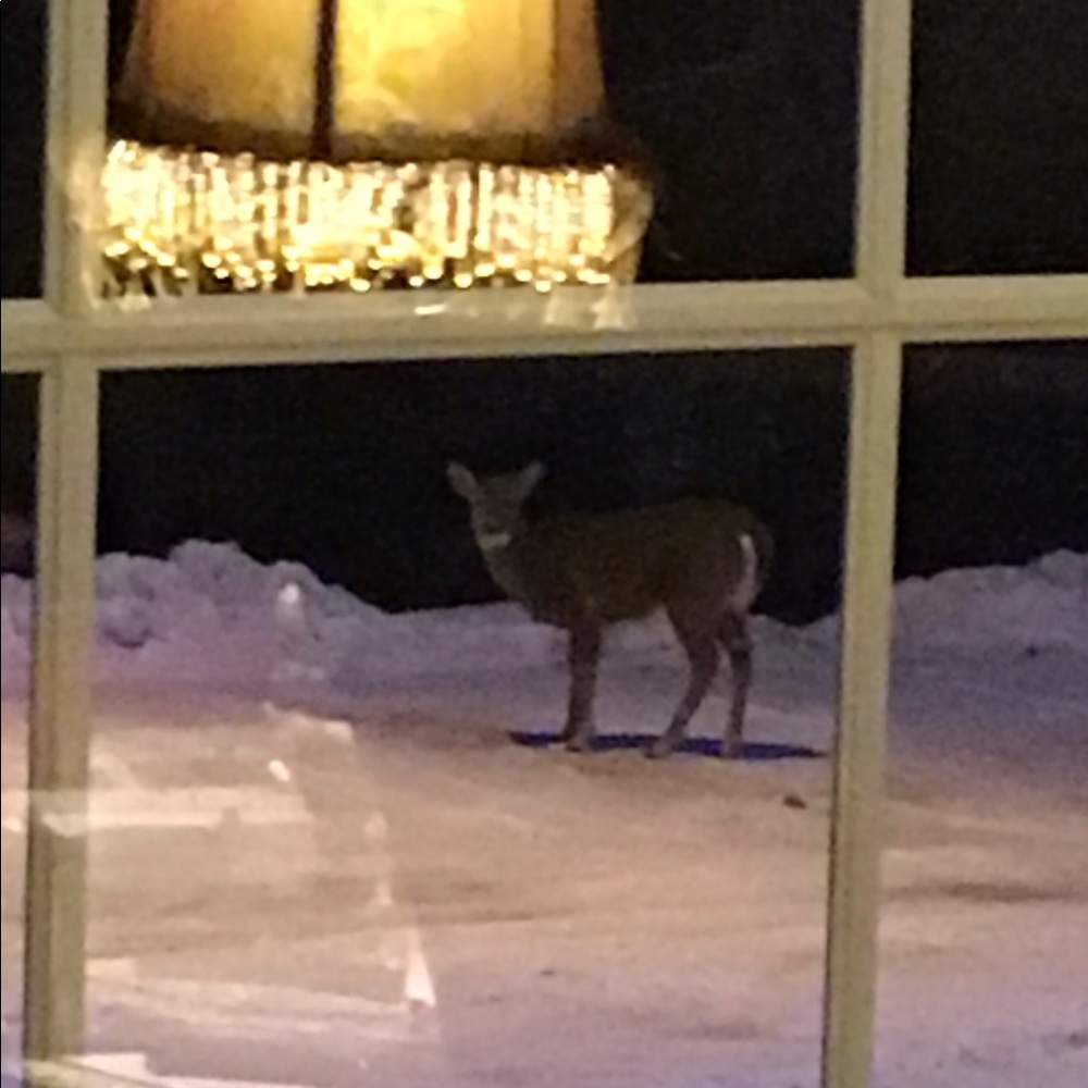 Ghost Deer Love Salty Popcorn Mom & 2 Big Babes